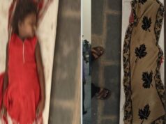 नानी के घर घूमने आई थी मासूम, जहरीले सांप ने छीन ली दोनों की जिंदगी