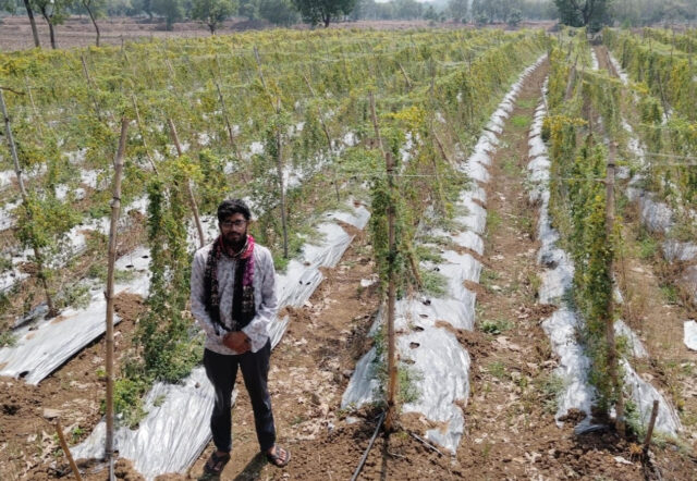 mahasmund 7 june 20