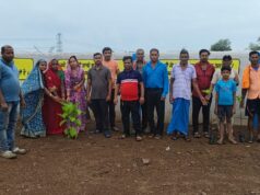 ग्राम पंचायत कोटेतरा में सरपंच सुनीता रमेश साहू के नेतृत्व में वृहद वृक्षारोपण संपन्न
