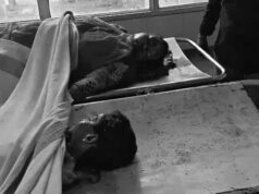 सड़क किनारे खड़े ट्रक से भिड़ी कार, सरपंच, हेडकांस्टेबल, 2 युवती एक मासूम सहित 5 की मौत, ड्राइवर की बची जान..