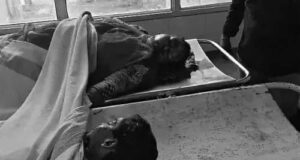 सड़क किनारे खड़े ट्रक से भिड़ी कार, सरपंच, हेडकांस्टेबल, 2 युवती एक मासूम सहित 5 की मौत, ड्राइवर की बची जान..