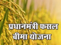 एल नीनो का खतरा! किसानों के लिए सरकार का अलर्ट, समय रहते कराएं फसल बीमा