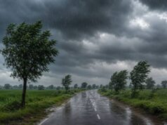 बिहार में मौसम विभाग ने 8 से 10 जुलाई तक के लिए भारी बारिश और आंधी का जारी किया अलर्ट…