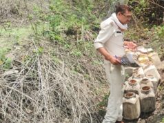 थाना रामनगर पुलिस द्वारा अवैध महुआ लाहन के विरुद्ध की गई कार्रवाई