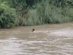 सहारनपुर में लगातार हो रही मूसलाधार बारिश ने भारी तबाही ,कब्रें बह गईं, शव बाहर आए….