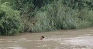 सहारनपुर में लगातार हो रही मूसलाधार बारिश ने भारी तबाही ,कब्रें बह गईं, शव बाहर आए….