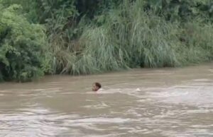 सहारनपुर में लगातार हो रही मूसलाधार बारिश ने भारी तबाही ,कब्रें बह गईं, शव बाहर आए….