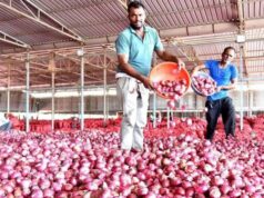 महंगा होगा प्याज,सरकार ने खरीद कीमत बढ़ाकर 2,125 रुपये प्रति क्विंटल की….