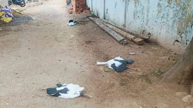 WhatsApp Image 2026-07-02 at 6.36.59 PM