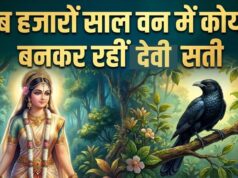 इस श्राप के कारण हजारों वर्षों तक कोयल बनकर रहीं माता सती, फिर मिला था पार्वती का जन्म
