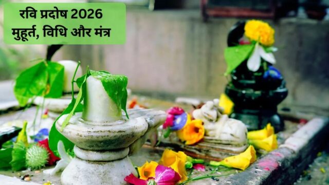 WhatsApp Image 2026-07-11 at 3.03.10 PM