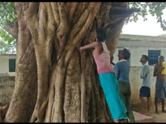 एक ही स्थान पर एक साथ 11 प्रजातियों के वृक्ष : प्रकृति का अनूठा उपहार,सुप्रसिद्ध वृक्षों की श्रेणी में चौथे वृक्ष की उम्मीद