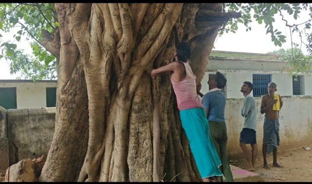WhatsApp Image 2026-07-13 at 4.42.13 PM