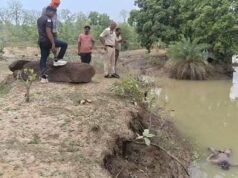 राजिम के सरगी नाला में युवक की सड़ी-गली लाश बरामद, पुलिस जांच में जुटी
