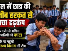 स्कूल में अचानक बदला छात्र का व्यवहार, सहपाठियों को काटने से मचा हड़कंप