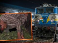 मोबाइल पर बात करते-करते रेलवे ट्रैक पार कर रहा था युवक, मालगाड़ी की चपेट में आकर कटा पैर