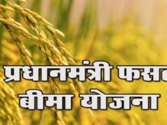 किसानों के लिए अलर्ट, 31 जुलाई तक ही करा सकेंगे खरीफ फसल बीमा
