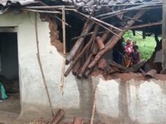 जशपुर में 18 हाथियों का आतंक! कटहल की खुशबू खींच लाई गांव, दो घरों में मचाई जमकर तबाही