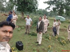 कोर क्षेत्र में फिर अतिक्रमण की कोशिश, 166 आरोपियों की जमानत को चुनौती देगा टाइगर रिजर्व