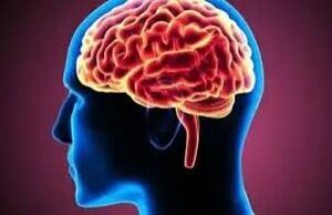 इन संकेतों को न करें नजरअंदाज बार-बार सिरदर्द? हो सकता है ब्रेन ट्यूमर!