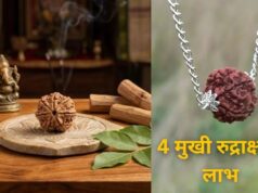 4 मुखी रुद्राक्ष के चमत्कारी उपाय: बुध ग्रह से जुड़ी परेशानियां होंगी दूर, बिजनेस-बुद्धि और वाणी में मिलेगा लाभ