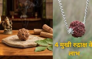 4 मुखी रुद्राक्ष के चमत्कारी उपाय: बुध ग्रह से जुड़ी परेशानियां होंगी दूर, बिजनेस-बुद्धि और वाणी में मिलेगा लाभ