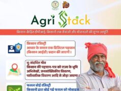 किसानों के गांव पहुंचेंगे अधिकारी! 347 ग्राम पंचायतों में एग्रीस्टेक शिविर, धान खरीदी से पहले पंजीयन जरूरी