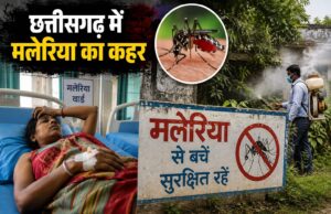 छत्तीसगढ़ में मलेरिया का कहर जारी: बिलासपुर में महिला की मौत, कोटा में मिला नया मरीज