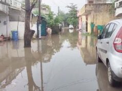 रायपुर के सेजबहार में बारिश बनी आफत, हाउसिंग बोर्ड कॉलोनी में जगह-जगह जलभराव; मच्छरों का बढ़ा प्रकोप