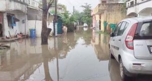 रायपुर के सेजबहार में बारिश बनी आफत, हाउसिंग बोर्ड कॉलोनी में जगह-जगह जलभराव; मच्छरों का बढ़ा प्रकोप