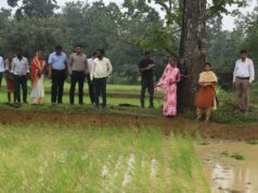 खेतों में पहुंचीं कलेक्टर: दलहन-तिलहन उत्पादन, प्राकृतिक खेती और विकास कार्यों का किया व्यापक निरीक्षण