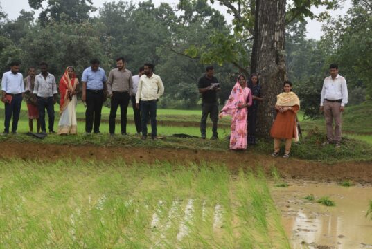 खेतों में पहुंचीं कलेक्टर: दलहन-तिलहन उत्पादन, प्राकृतिक खेती और विकास कार्यों का किया व्यापक निरीक्षण