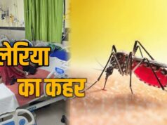 कोटा क्षेत्र में तेजी से फैल रहा मलेरिया, 10 दिन में 25 संक्रमित; कई गांव हाई अलर्ट पर