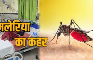 कोटा क्षेत्र में तेजी से फैल रहा मलेरिया, 10 दिन में 25 संक्रमित; कई गांव हाई अलर्ट पर