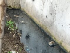 गंदगी से बजबजा रहीं शहर की नालियां, बारिश में बढ़ेगी परेशानी गंदगी से बजबजा रहीं