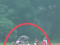 भालुओं के हमले से युवक घायल परिजनों ने कंधे पर नदीपार कराकर पहुंचाया एंबुलेंस तक