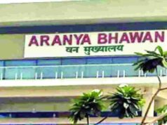 वन्यजीव संरक्षण की कमान अब ओपी यादव के हाथ, छत्तीसगढ़ सरकार ने जारी किया पदोन्नति आदेश