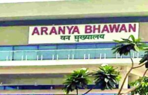 वन्यजीव संरक्षण की कमान अब ओपी यादव के हाथ, छत्तीसगढ़ सरकार ने जारी किया पदोन्नति आदेश