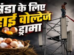 अंबिकापुर में टावर पर चढ़ा युवक, ग्रामीणों और पुलिस की समझाइश के बाद नीचे उतरा