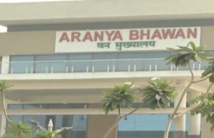 छत्तीसगढ़ वन विभाग में नई तैनाती: 2024 बैच के IFS अधिकारियों को मिले नए वनमंडल