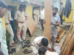 सरकारी कुर्सी की आड़ में लकड़ी की तस्करी! पंचायत सचिव के घर वन विभाग की ‘पलंग तोड़’ रेड, अवैध सागौन जब्त