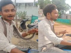 सांप ने काटा, फिर उसी सांप को गले में डालकर 14 किमी बाइक चलाई! कांकेर के युवक का VIDEO वायरल