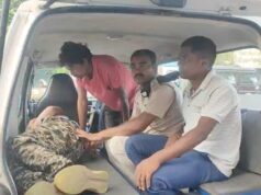 लकड़ी काटने से रोका तो फॉरेस्ट गार्ड पर लट्ठे से हमला, सिर में गंभीर चोट; हालत नाजुक