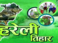 क्यों खास है छत्तीसगढ़ का हरेली तिहार? जानिए गेड़ी से लेकर कृषि औजारों की पूजा तक हर परंपरा की कहानी