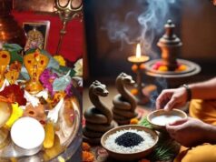 नाग पंचमी पर ऐसे करें राहु-केतु को शांत, कालसर्प दोष की परेशानियों से राहत के लिए जरूर करें ये उपाय
