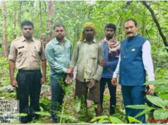 जंगल में वन्यजीवों के शिकार के लिए बिछाया था जाल, वन विभाग ने शिकारी को पकड़ा; सामान जब्त