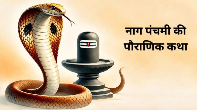 WhatsApp Image 2026-08-17 at 7.41.01 AM