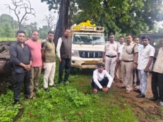 कोरबा में वन विभाग का बड़ा एक्शन: सागौन के 26 लट्ठों से लदा पिकअप जब्त, रात में पकड़ा गया अवैध लकड़ी परिवहन