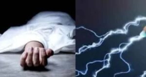 33KV तार बना काल! पेड़ की डाल काटते समय रामकुमार की करंट लगने से मौत, तीन बेटियां हुईं बेसहारा