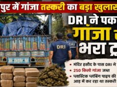 प्लास्टिक पाइप बना तस्करी का अड्डा! रायपुर में DRI ने 250 किलो गांजा किया जब्त